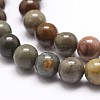 Natural New Ocean Jasper Bead Strands G-G954-01-8mm-4