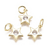 Brass Micro Pave Cubic Zirconia Charms X2-ZIRC-F111-09G-08-1