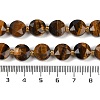 Natural Tiger Eye Beads Strands G-C116-A14-01-5