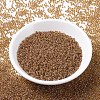 MIYUKI Round Rocailles Beads SEED-X0054-RR0345-2