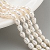 Natural Cultured Freshwater Pearl Beads Strands PEAR-P062-06D-2