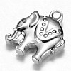 Tarnish Resistant 304 Stainless Steel Charms STAS-G073-02P-2