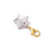 Star Glass Pendant Decorations HJEW-JM02956-5