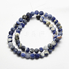 Natural Sodalite Beads Strands G-J364-01-4mm-2