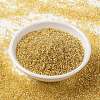 MIYUKI Round Rocailles Beads X-SEED-G009-RR0003-3