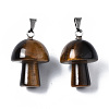 Natural Tiger Eye Pendants G-N0325-10A-2