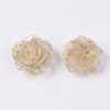 Translucent Resin Cabochons LS-RESI-S364-45C-2