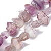 Natural Purple Fluorite Beads Strands G-F783-G04-01-1