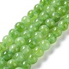 Dyed Natural Malaysia Jade Beads Strands G-G021-02A-04-2