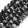 Natural Fire Crackle Agate(Dyed & Heated) Beads Strands G-K425-A09-12mm-2