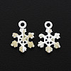 Spray Painted Alloy Enamel Charms ENAM-N055-034-A02-NR-2