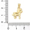 Brass Micro Pave Clear Cubic Zirconia Pendants LS-KK-A303-05H-G-3