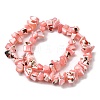 Natural Trochid Shell/Trochus Shell Beads Strands SHEL-B003-02C-2