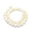 Natural Rainbow Moonstone Strands G-G764-45-10mm-2