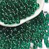 Transparent Colours Glass Seed Beads SEED-C001-02A-12-1