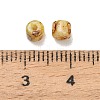 Picasso Glass Cylinder Seed Beads GLAA-C044-01C-3