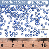 45G about 3000pcs Glass Seed Beads SEED-PA0001-29A-02-2