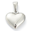 304 Stainless Steel Pendants STAS-P278-01R-P-2