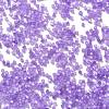 Imitation Cat Eyes Glass Seed Beads X1-SEED-H003-03F-3