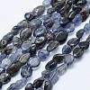 Natural Cordierite/Iolite/Dichroite Beads Strands G-K203-10-1