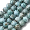 Natural Larimar Beads Strands G-B156-A01-8mm-3