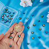 40Pcs 4 Styles Natural Abalone Shell/Paua Shell Cabochons with Enamel BSHE-HS0001-02-3