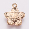 Zinc Alloy Enamel Pendants X-PALLOY-I124-10G-A-2