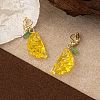 Resin & Plastic Clip-on Earrings FS-WG3D07D-02-1