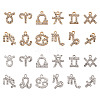 2 Sets 2 Colors Zinc Alloy Pendants ALRI-FW0001-02-2