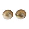 Sea Shell Stud Earrings EJEW-JE07325-4