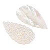 Natural White Shell Carved Cabochons SSHEL-C012-13-2