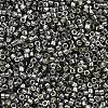 MIYUKI Delica Beads SEED-MY11-DB2512-2