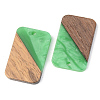 Resin & Walnut Wood Pendants RESI-S389-049A-3