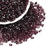 Picasso Spray Painted Glass Seed Beads SEED-T006-04-21-3