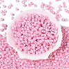 Baking Paint Pearlized Glass Seed Beads SEED-T008-03H-2