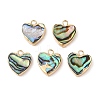 Natural Paua Shell Heart Charms with Brass Edge SHEL-P017-19G-1