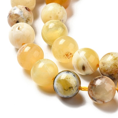 Natural Yellow Opal Beads Strands G-G992-A02-C-1