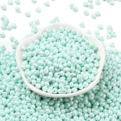 6/0 Glass Seed Beads X1-SEED-L011-08A-14-1