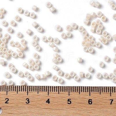 Baking Paint Glass Seed Beads X-SEED-S042-15A-02-1