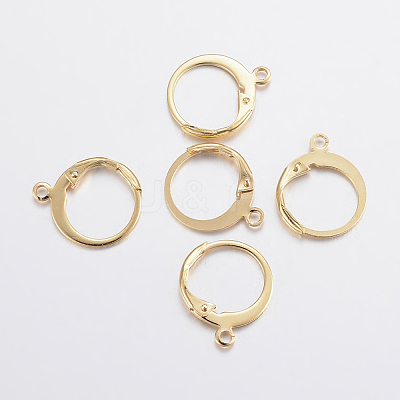 304 Stainless Steel Leverback Earring Findings STAS-F155-13G-1