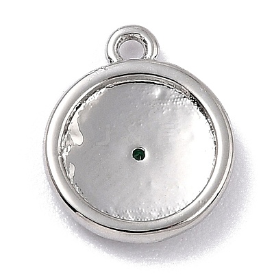 Brass Micro Pave Cubic Zirconia Charms LS-ZIRC-I054-13P-03-1
