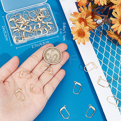 40Pcs 304 Stainless Steel Leverback Earring Findings STAS-BBC0003-93-1