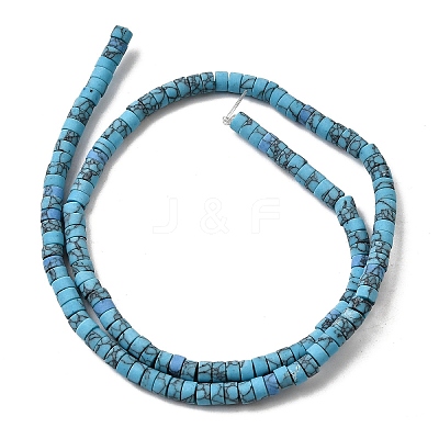 Dyed Synthetic Turquoise Beads Strands G-Z089-A04-Q-1
