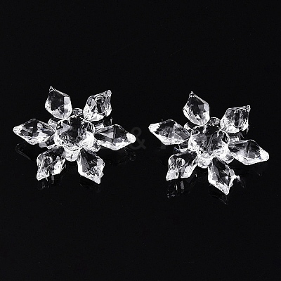 Transparent Acrylic Connector Charms TACR-T028-03B-1