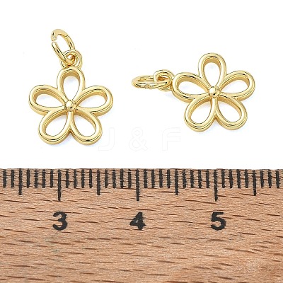 Brass Charms KK-CBA5585-04G-1