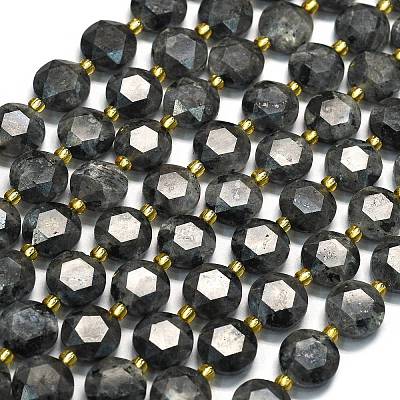 Natural Larvikite Beads Strands G-C116-A155-01-1