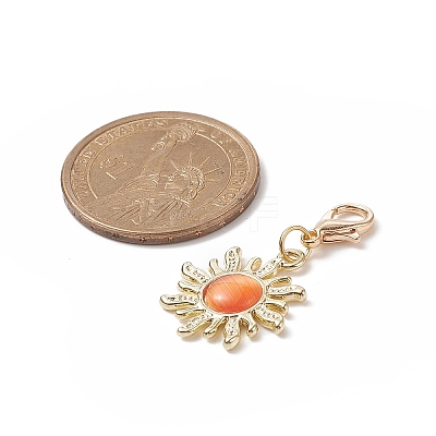 Sun Alloy Cat Eye Pendants Decorations HJEW-JM00903-1