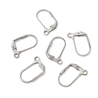 316 Surgical Stainless Steel Leverback Earring Findings STAS-WH0022-72-1