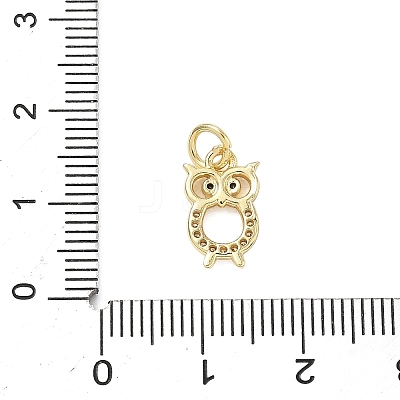 Brass Micro Pave Cubic Zirconia Charms KK-K368-06C-G-1