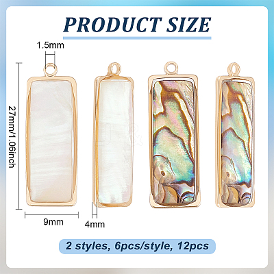 12Pcs 2 Styles Natural Paua Shell/Abalone Shell Pendants FIND-BC0013-35-1